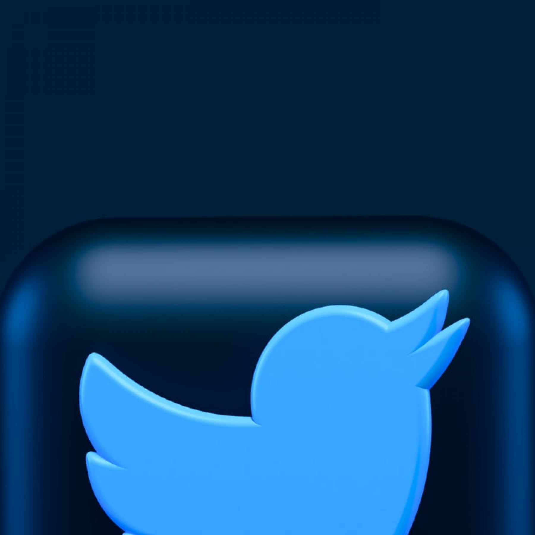 What Twitter could do as privately held company
