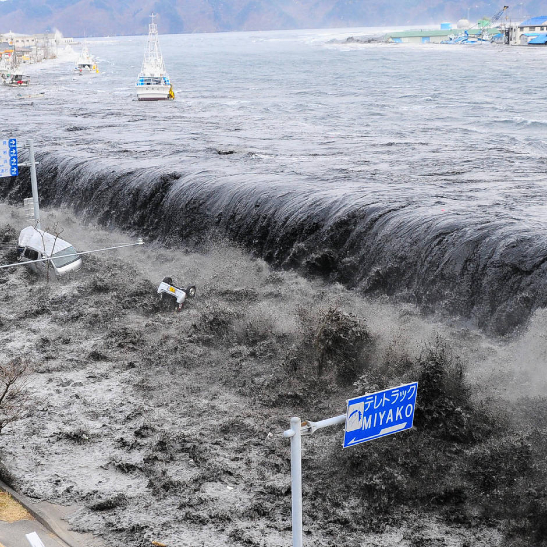 Japan sees meter-high waves and tsunami warning after massive Tonga eruption