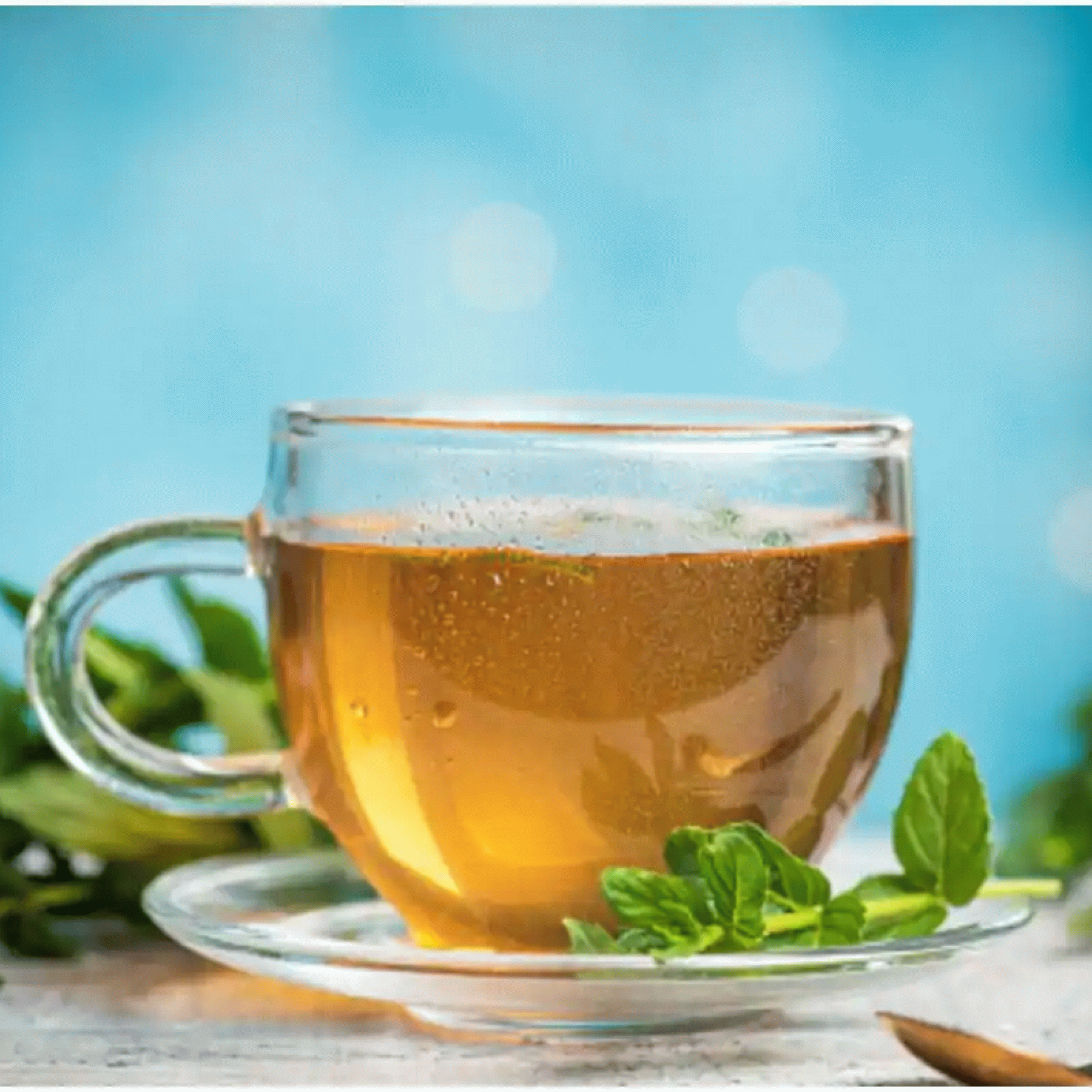 Should Children Drink Green Tea Here is What We Know