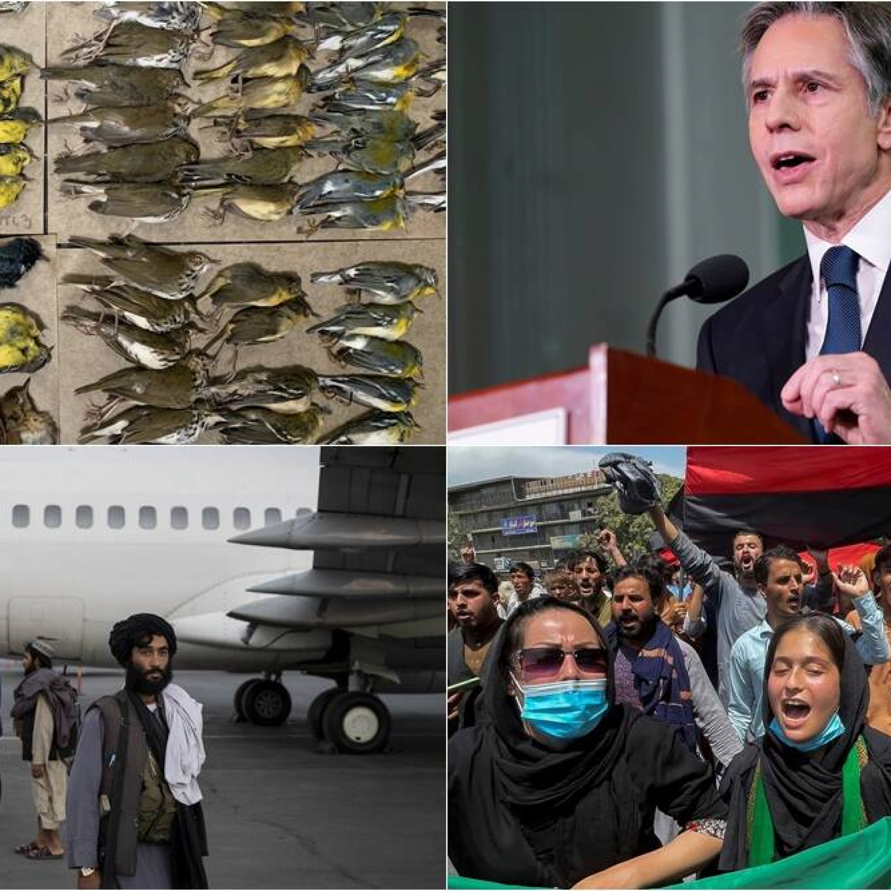World news today: 5 overnight developments from around the globe
