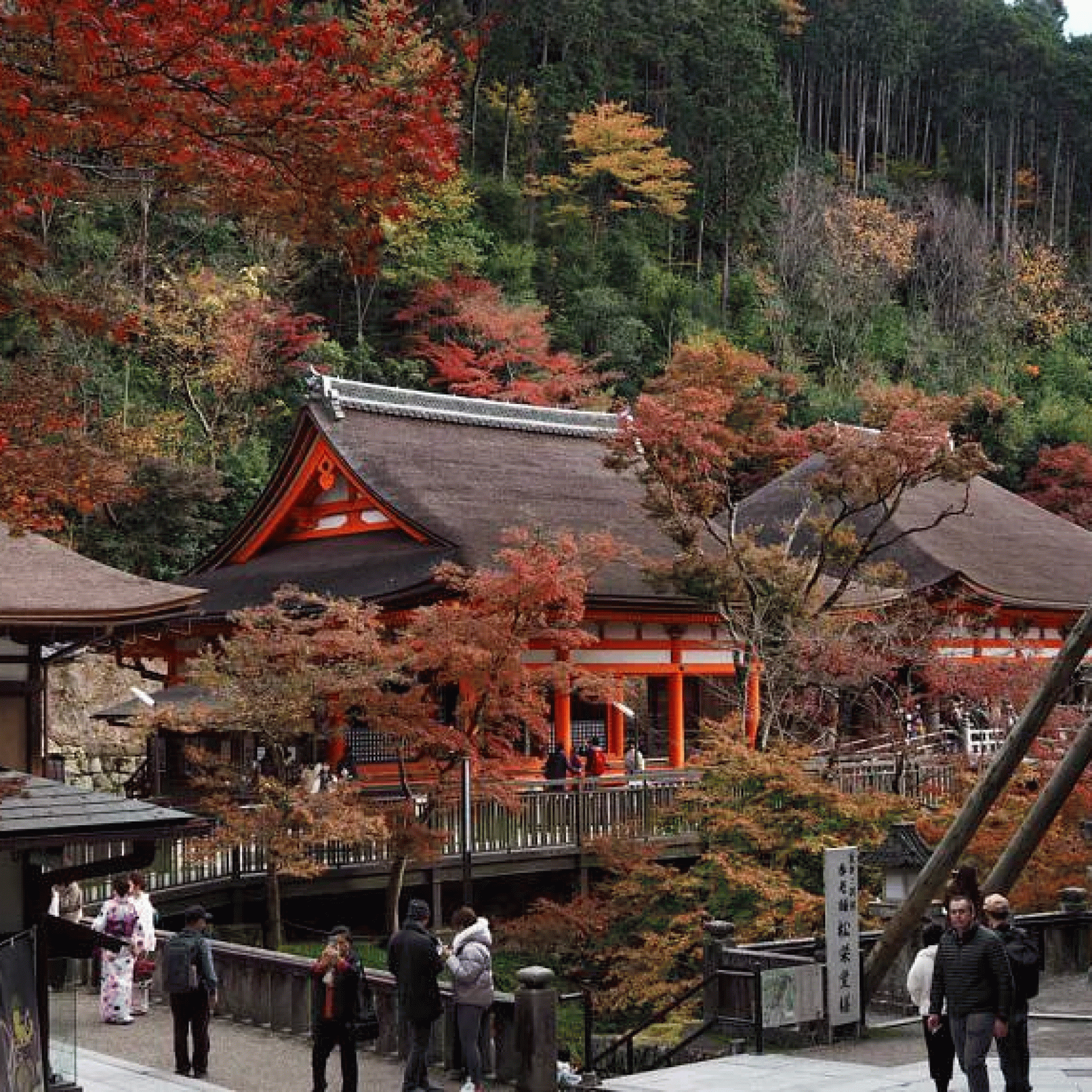 Japan reopens to tourists - but with strict rules