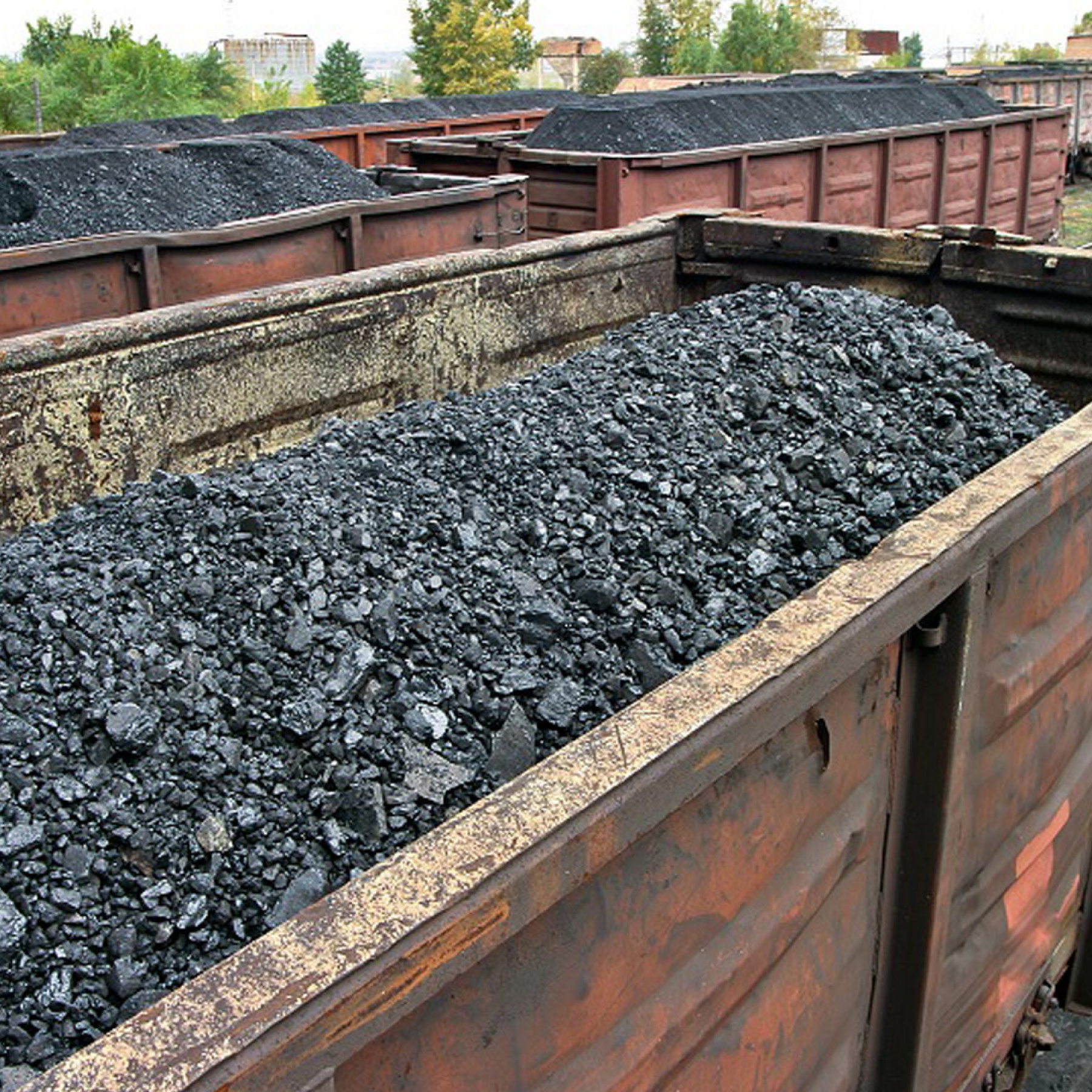 Rail link to ensure faster coal movement to Odisha ports
