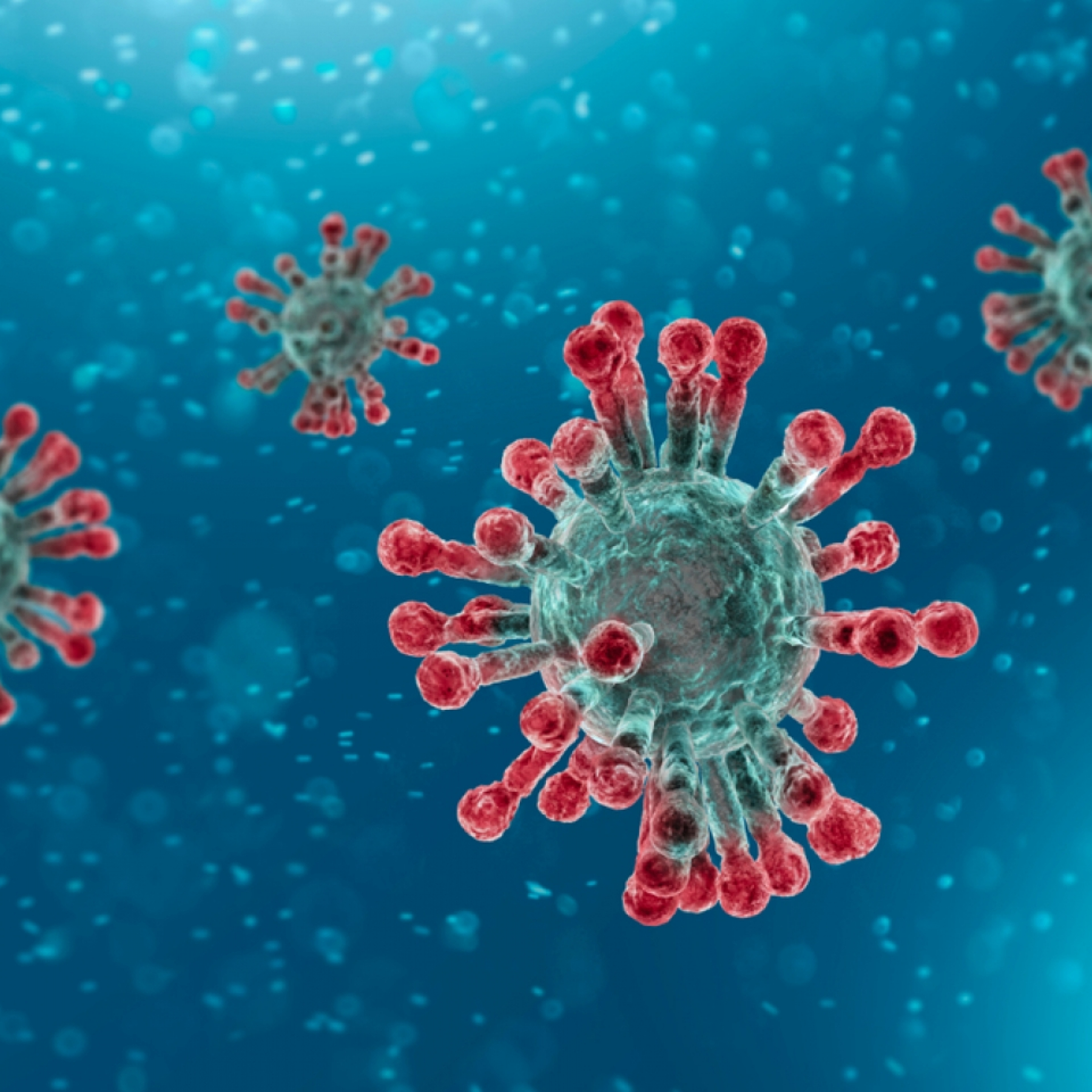 In a confusing pandemic moment experts share their own approaches