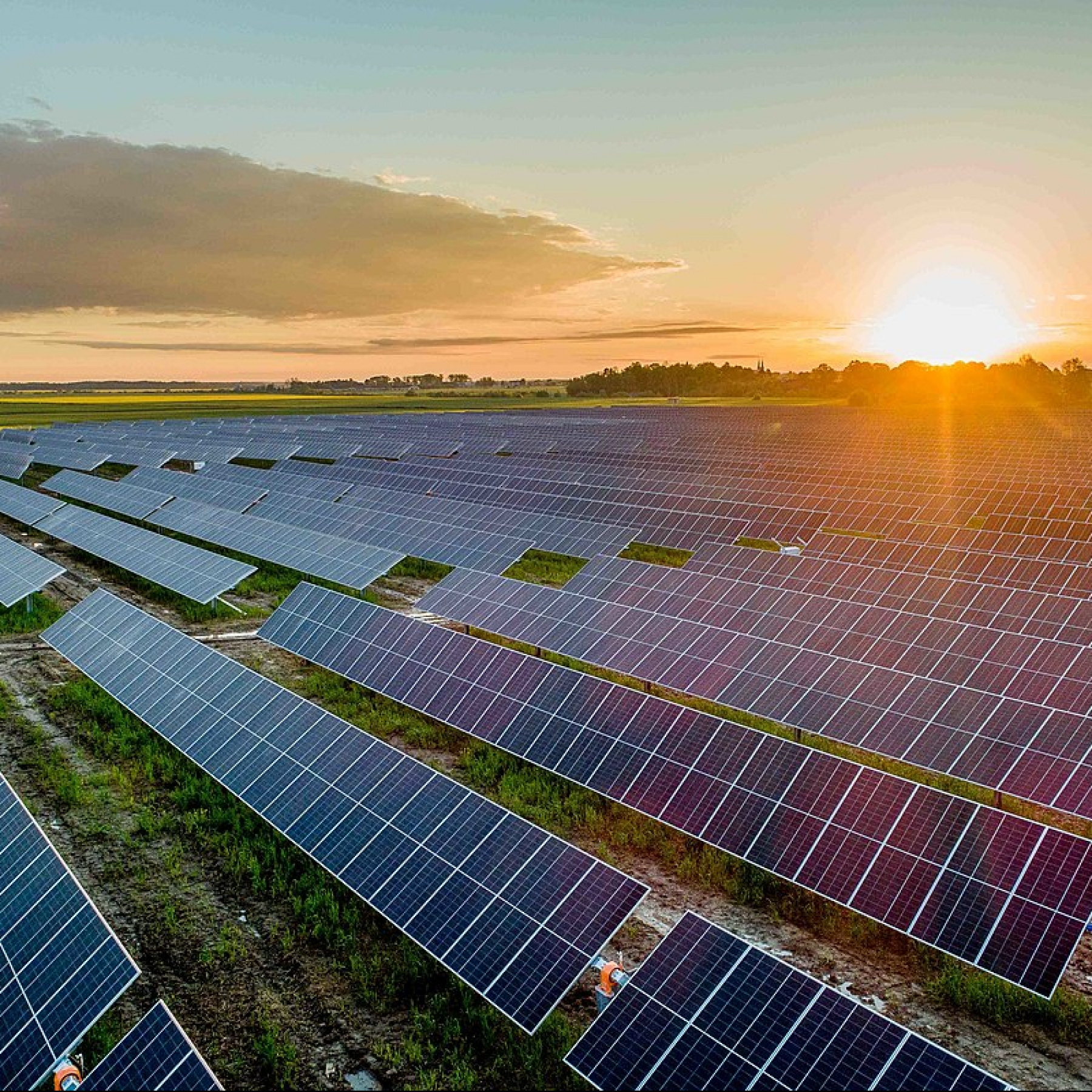 solar panels