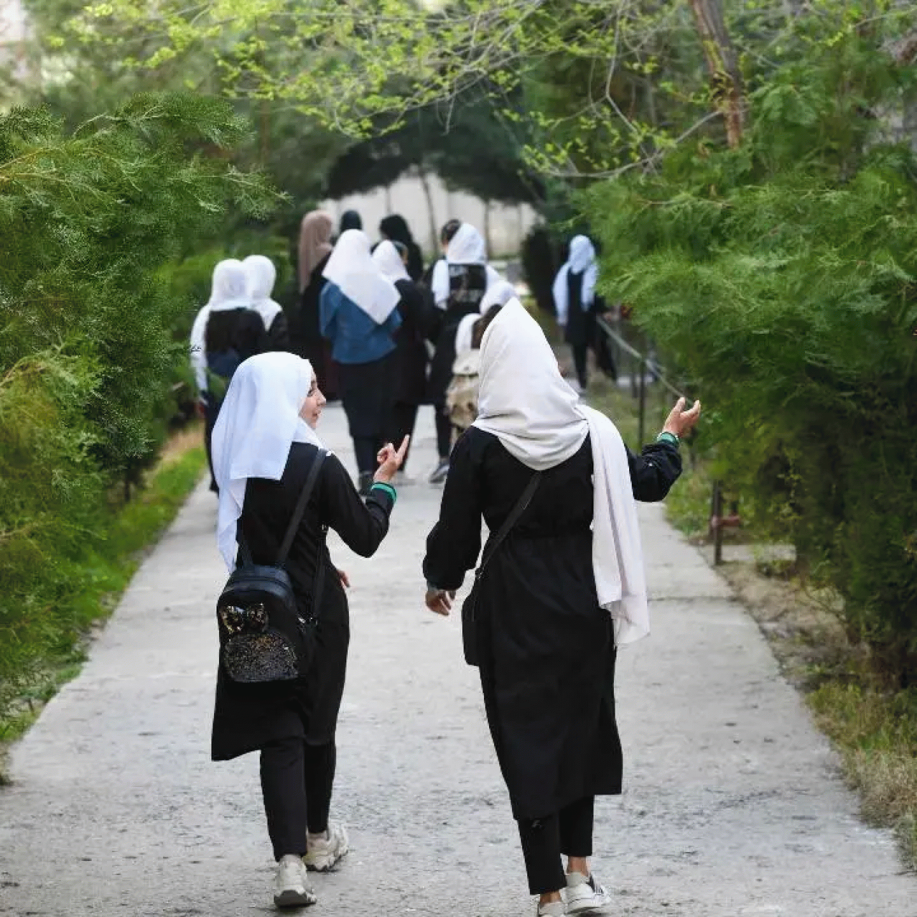 In 11th hour decision Taliban hold to ban on girls education