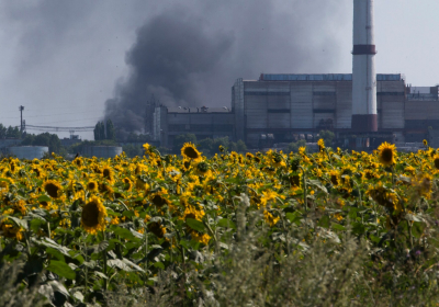 Sunflower Oil Vanishes as Ukraine War Grinds On