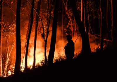 Portugal battles wildfires amid drought heat 29 injured