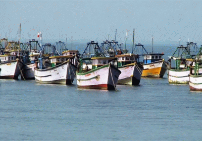 Indian fishermen back again and crushing our livelihoods say Sri Lankan counterparts