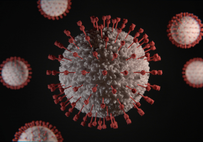 As Europe begins to live with the coronavirus could the US follow
