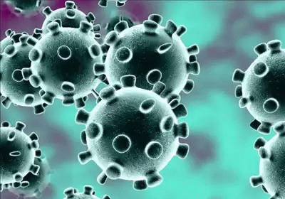 Covid-19 not developed as biological weapon says US intelligence community