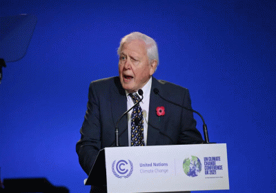 Sir David Attenborough named Champion of the Earth by UN