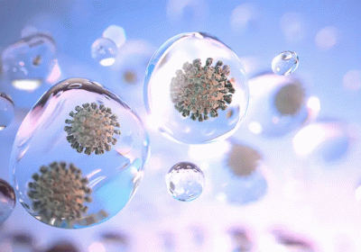 SARS-CoV-2 is transmitted by exposure to infectious respiratory fluids