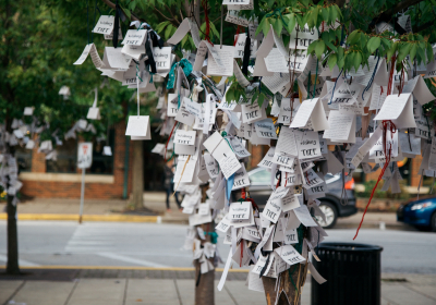 California wishing tree decorated with handwritten messages of gratitude