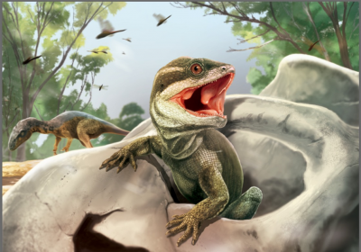 Scientists find fossil species that is ancient forerunner of most modern reptiles