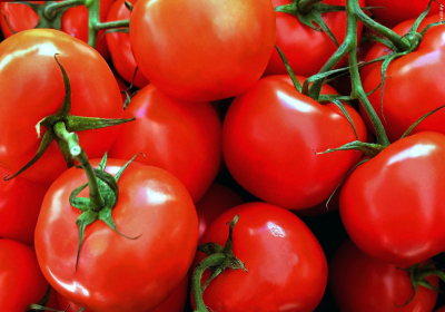 Scientists have unlocked the vitamin D potential of tomatoes study says