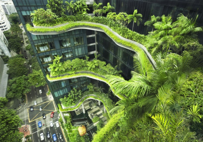 How Singapore is Pioneering the Way to Creating a Greener Urban Environment