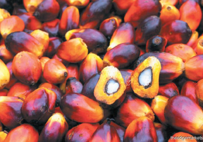 Palm prices seen firm until Feb but could ease from March –analyst Mistry