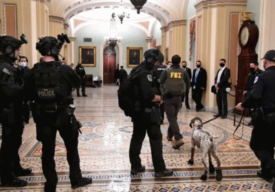 Capitol police inquiry into Jan 6 riot recommends disciplining six officers