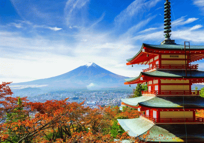 Japan to open to tourists after two years of Covid-19 hiatus but conditions apply