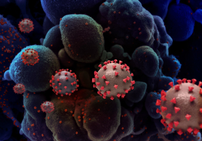 Newer fitter descendants of Omicron variant begin to drive their own coronavirus waves