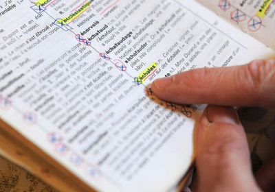 French officials told to abandon gaming Anglicisms