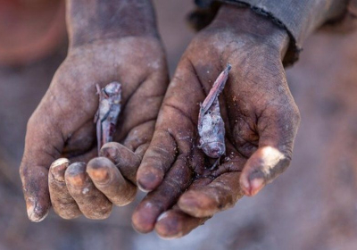 Madagascar on the brink of climate change-induced famine