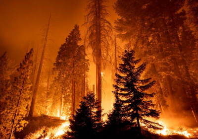 Climate change: Whisper it cautiously... theres been progress in run up to COP26