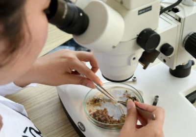 Climate change: Voices from global south muted by climate science