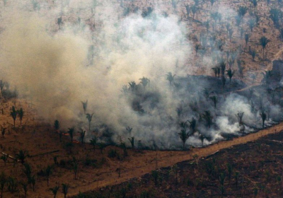 Amazon sees worst deforestation levels in 15 years
