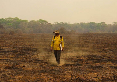 Brazil wildfires killed an estimated 17 million animals