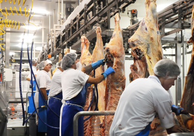 Teys Australia abattoir that told COVID-positive staff to keep working amid outbreak announces temporary shutdown