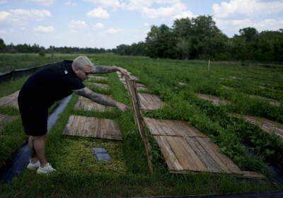 Amid Ukraines war a farmer takes comfort in her snails