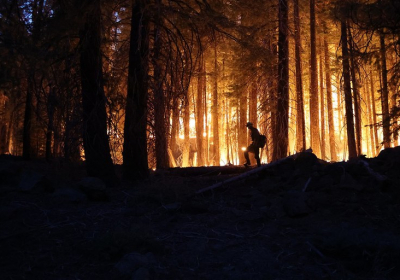 How arson factors into Californias wildfires