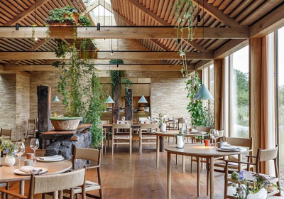 Noma is the best restaurant in the world. Again