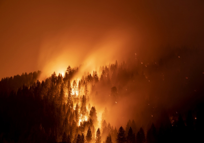 Top climate scientists are sceptical that nations will rein in global warming