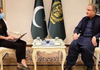 Pakistan does not have capacity to cater to more Afghan refugees: FM Qureshi