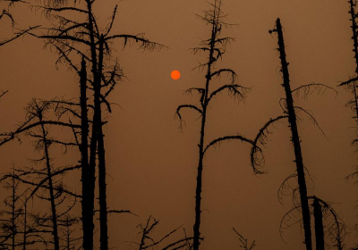 The Arctic Circle saw record-high temperatures in 2020 NOAA report finds