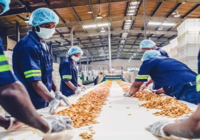 LuLu Group to set up Rs 200 cr food processing & logistics hub in J&K