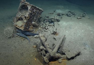 207-year-old whaling ship discovered in the Gulf of Mexico