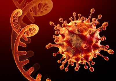 Contagious subvariant of Covid-19 Omicron strain detected in Russia