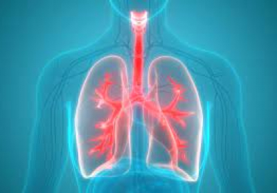 Lung health: Nutritionist shares warning signs you should not ignore