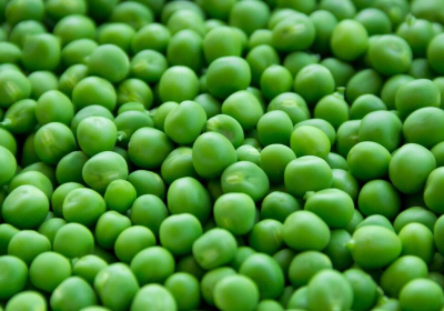 Try this simple experiment to test colour adulteration in green peas