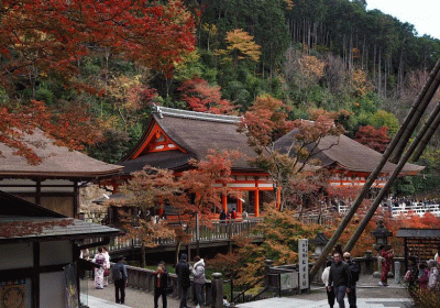 Japan reopens to tourists - but with strict rules