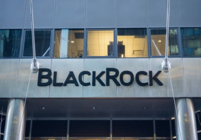 BlackRock manages $9.5 trillion in assets. Here is how it is preparing for climate change