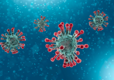 In a confusing pandemic moment experts share their own approaches