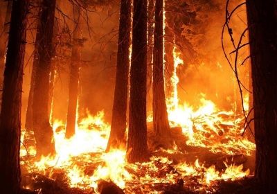 Wildfires in Utah scorching tens of thousands acres of land