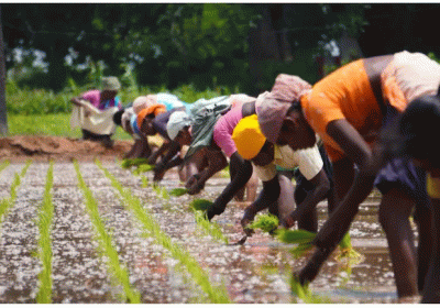 International Day for Rural Women 2021: History significance and theme