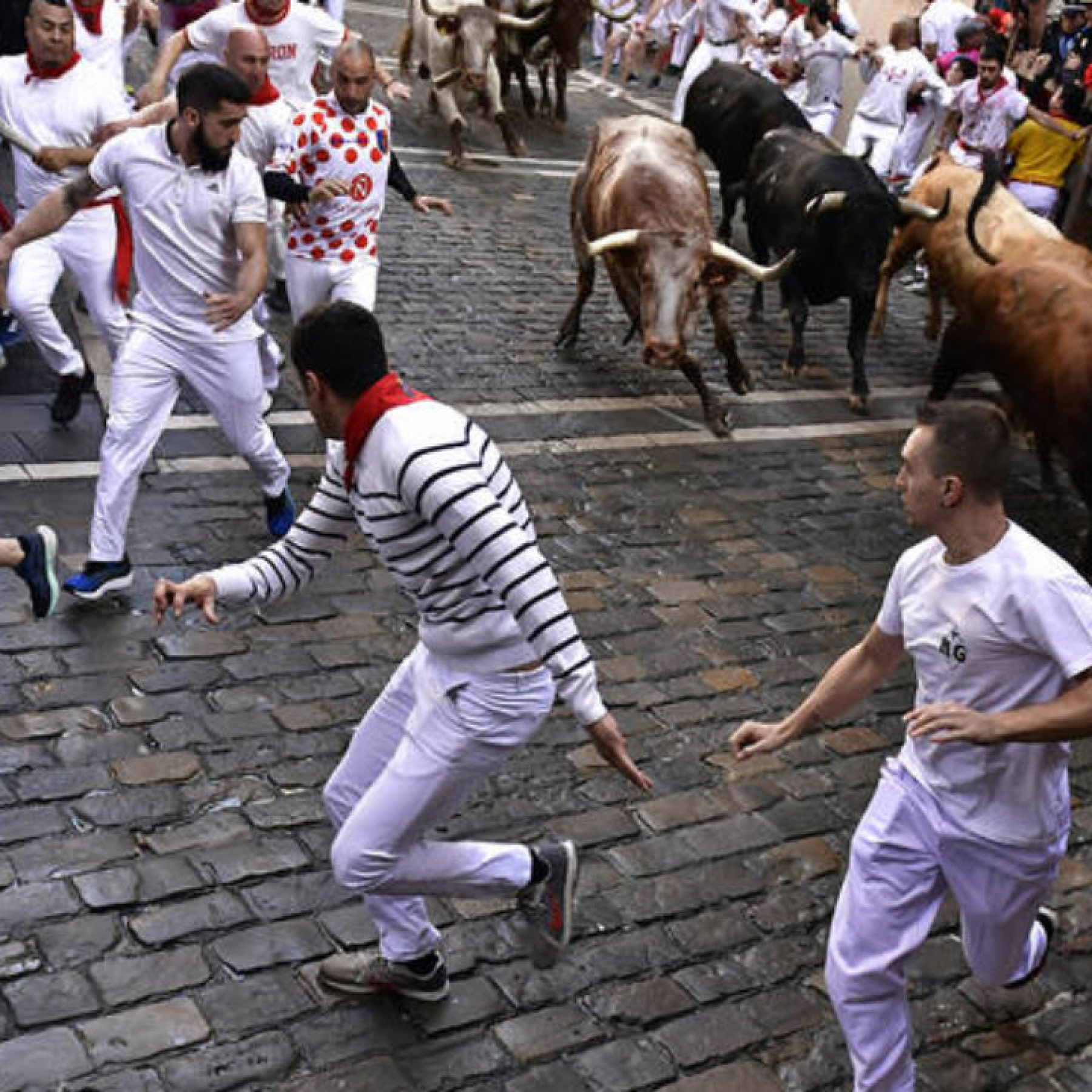 Three runners are gored in a tense 5th Pamplona bull run