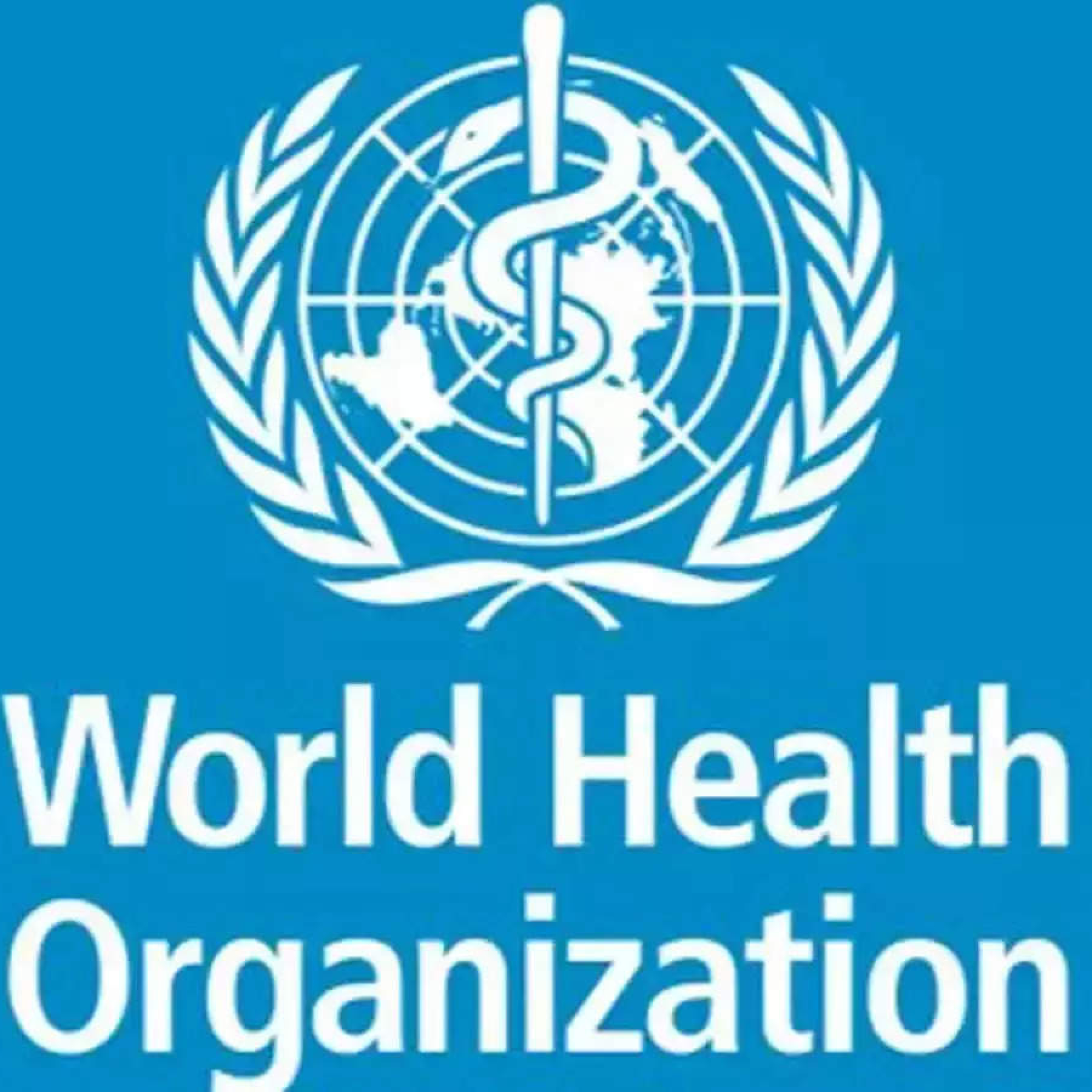No Country Met WHO Air Quality Standards In 2021: Data