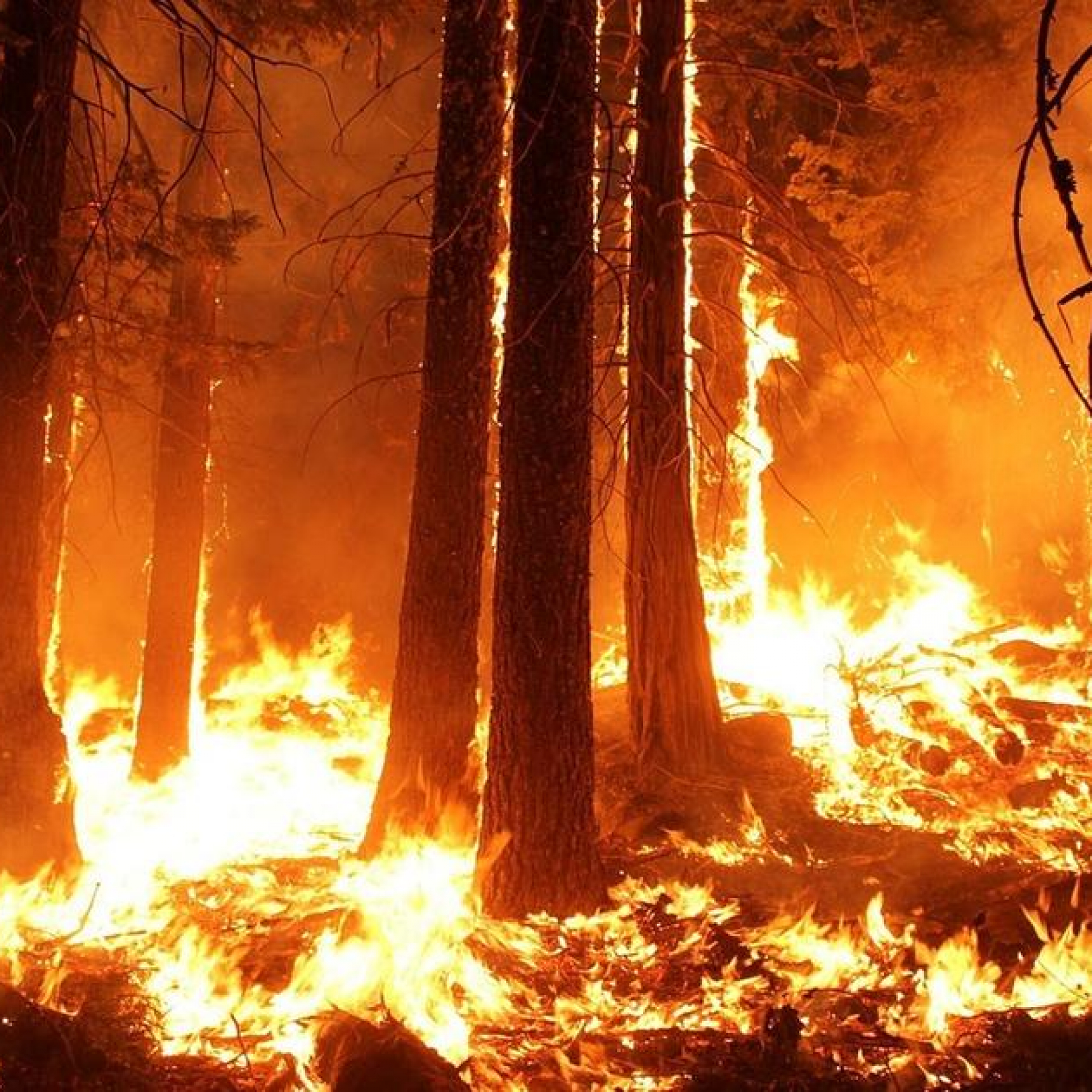 Wildfires in Utah scorching tens of thousands acres of land